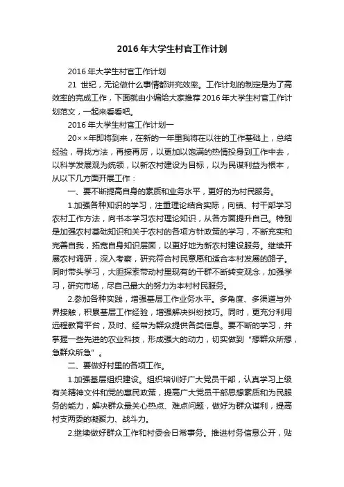 2016年大学生村官工作计划