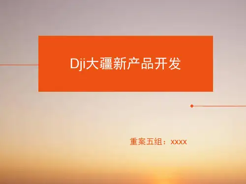 市场营销作业——Dji大疆新产品开发