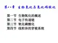 生物氧化与氧化磷酸化