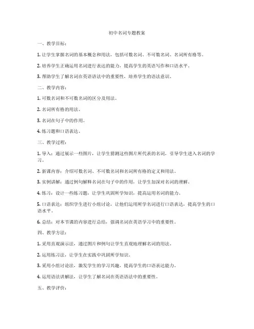 初中名词专题教案