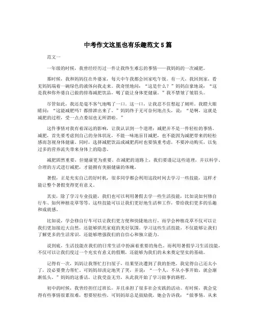 中考作文这里也有乐趣范文5篇