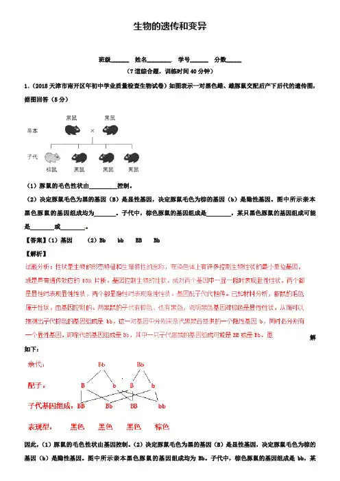 2019年中考生物(第01期)大题狂做系列 专题11 生物的遗传和变异(含解析)