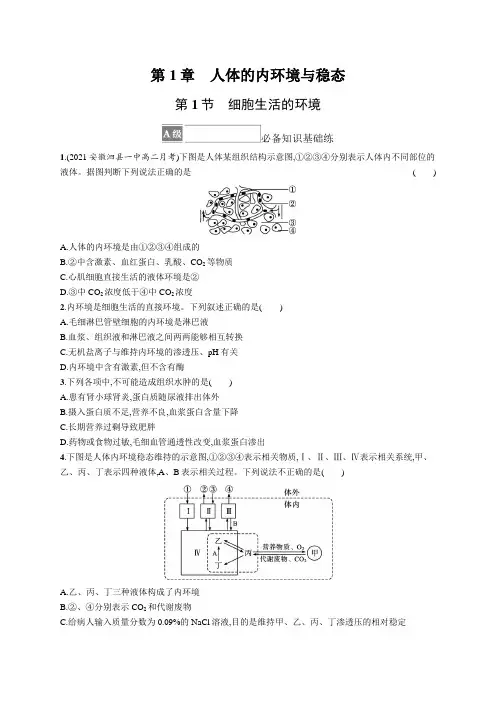 人教版(2019)高中生物选修一课后习题 第1章 第1节 细胞生活的环境(含答案)