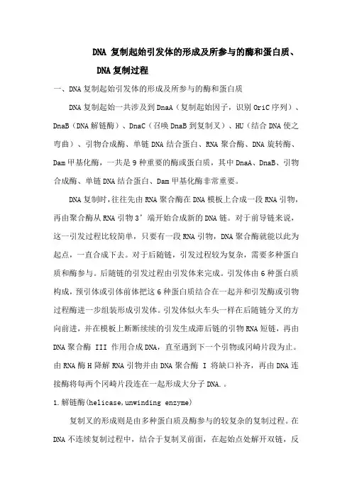 DNA复制、引物、酶及蛋白质