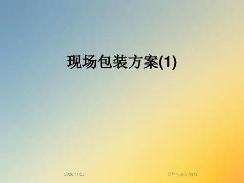 现场包装方案(1)