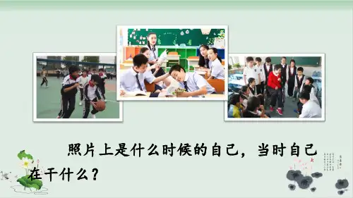 六年级语文下册难忘小学生活制订活动计划ppt人教部编