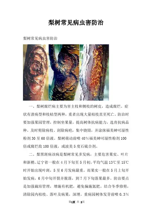 梨树常见病虫害防治
