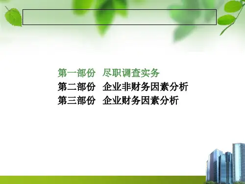融资担保尽职调查与项目评审