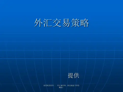 (简体)外汇交易策略精品PPT课件