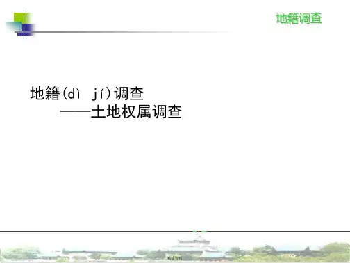 土地权属调查