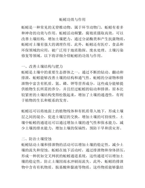 蚯蚓功效与作用