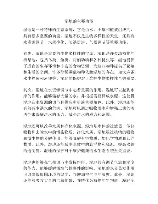 湿地的主要功能