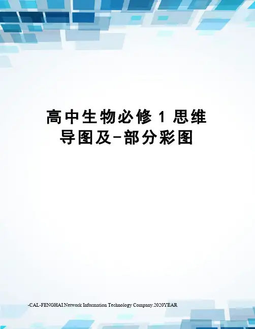 高中生物必修1思维导图及-部分彩图