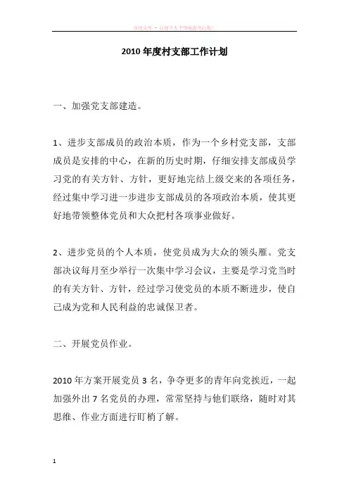 2010年度村支部工作计划