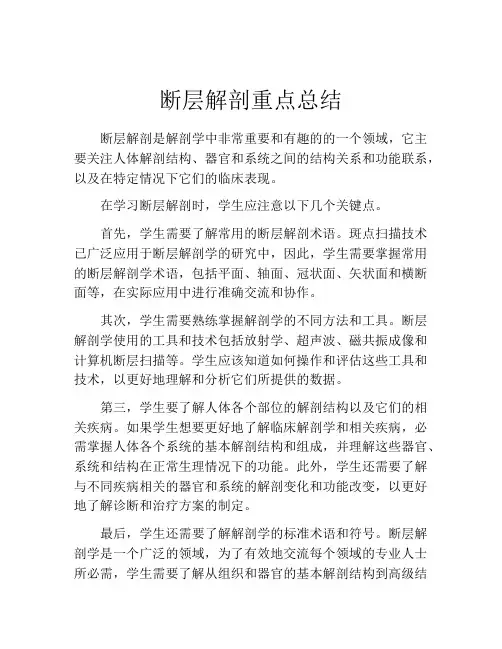 断层解剖重点总结