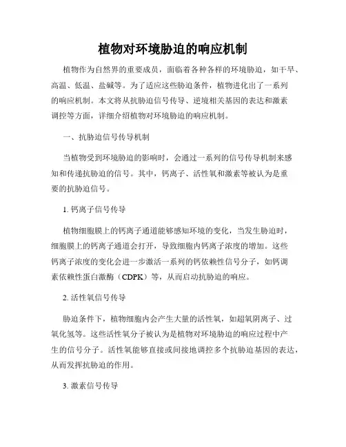 植物对环境胁迫的响应机制