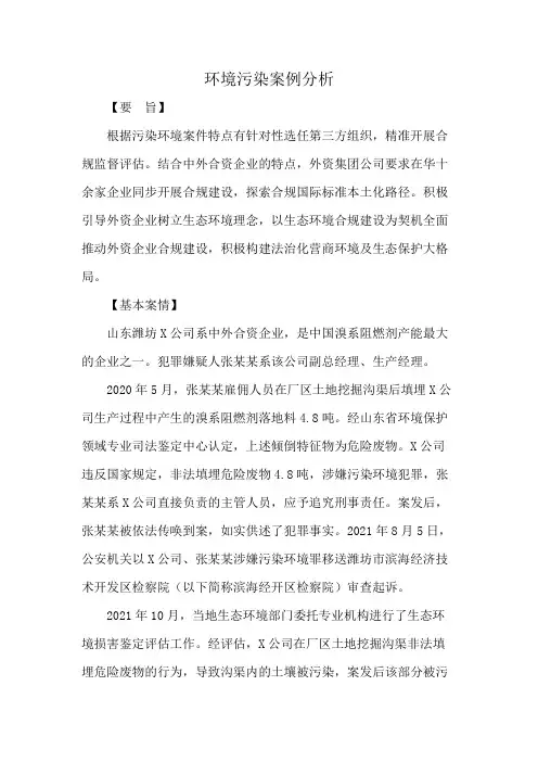 环境污染案例分析
