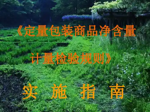 JJF1070定量包装商品净含量计量检验规则精讲(课堂PPT)