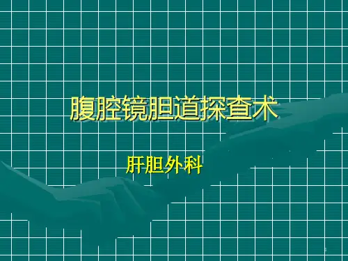 腹腔镜胆道探查术PPT课件