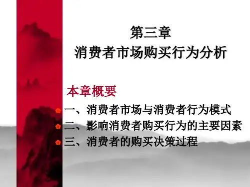 市场营销第三章消费者市场购买行为分析