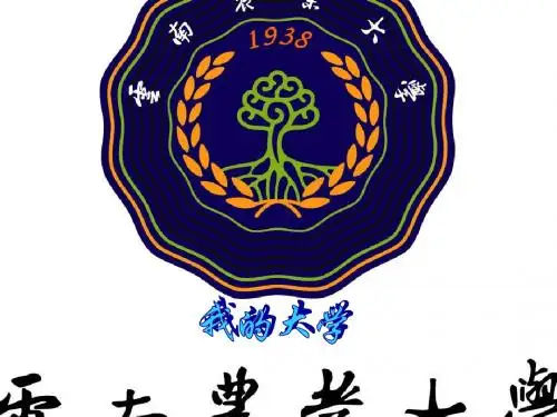 我的大学