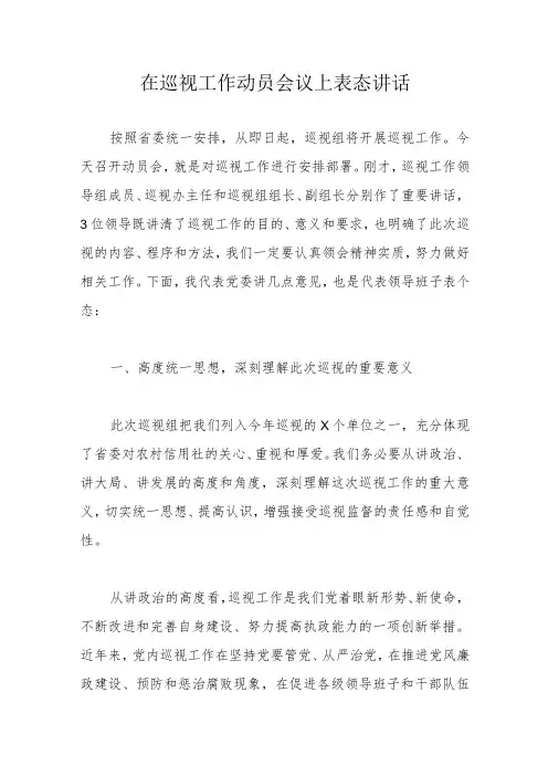 在巡视工作动员会议上表态讲话