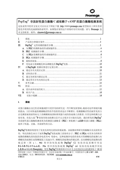 非放射性蛋白激酶