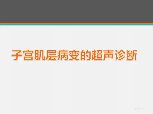 子宫肌层病变的超声诊断  ppt课件