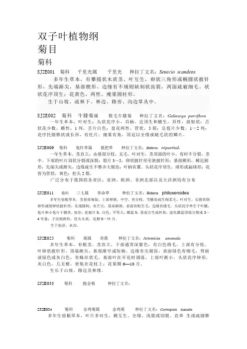 黄山常见植物小结