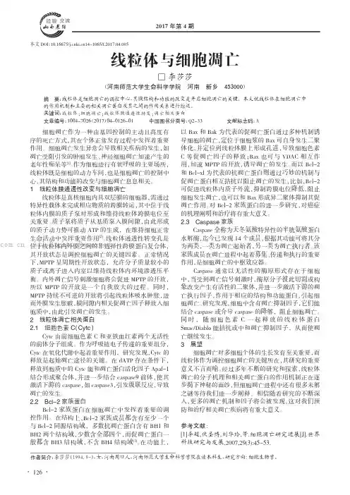 线粒体与细胞凋亡