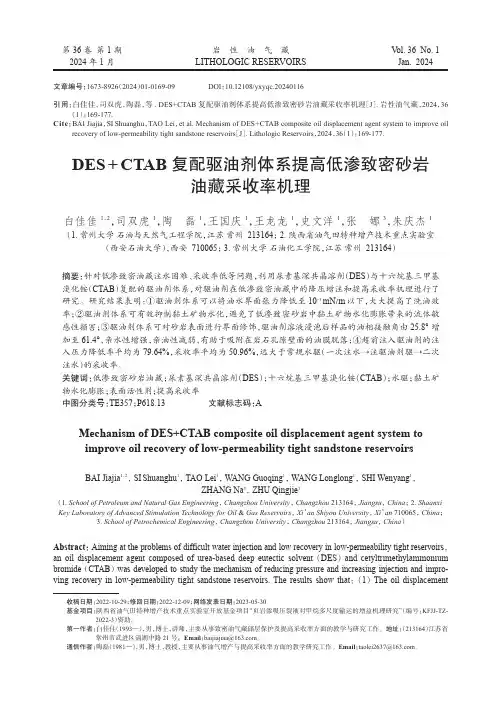 DES+CTAB_复配驱油剂体系提高低渗致密砂岩油藏采收率机理
