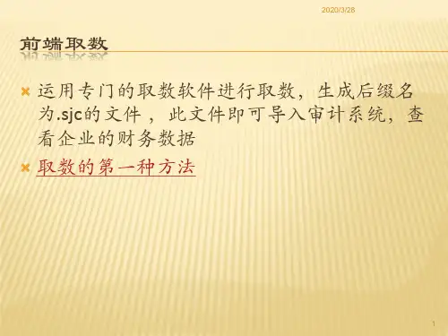 鼎信诺审计软件的四种取数方法PPT课件