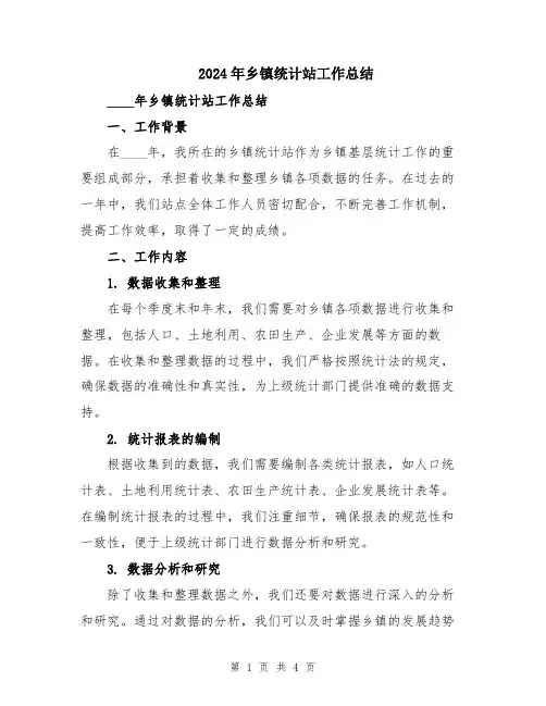 2024年乡镇统计站工作总结