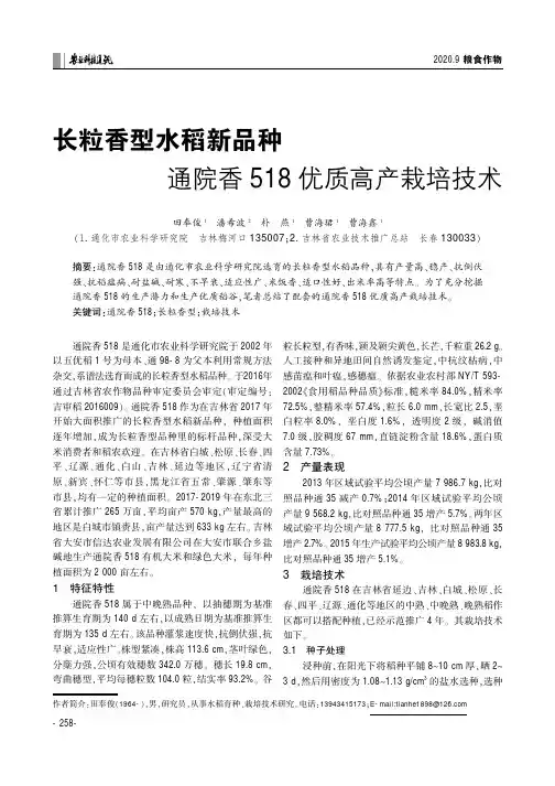长粒香型水稻新品种通院香518优质高产栽培技术