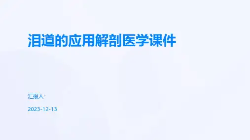 泪道的应用解剖医学课件
