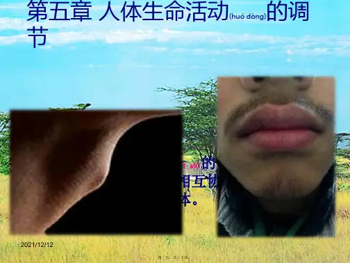 七年级生物下册 第五章 第一节 人体的激素调节