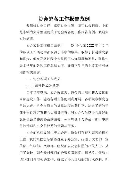 协会筹备工作报告范例