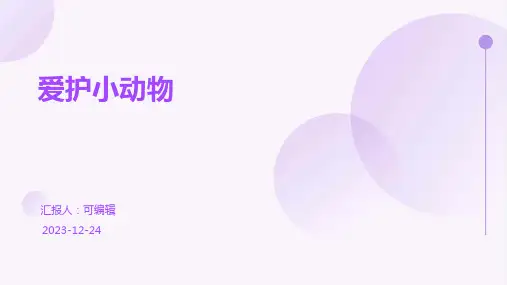 爱护小动物(幼儿园PPT课件)