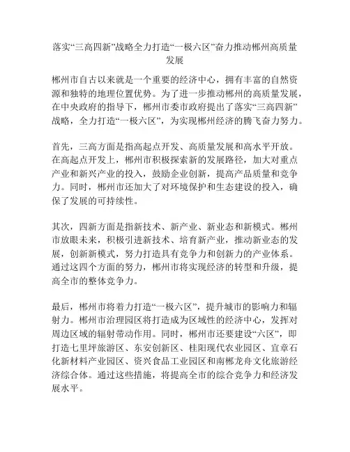 落实“三高四新”战略全力打造“一极六区”奋力推动郴州高质量发展