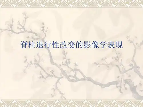 脊柱退行性变的常见影像学表现