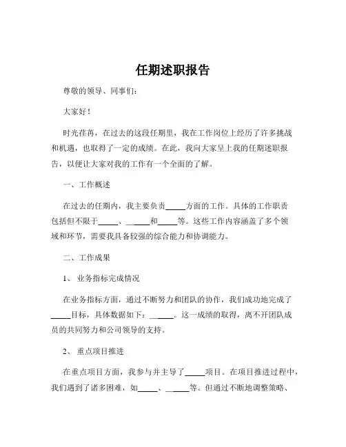 任期述职报告
