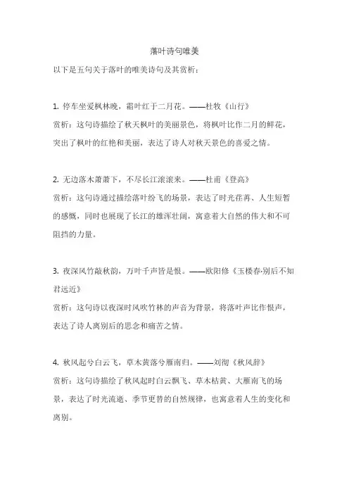 落叶诗句唯美