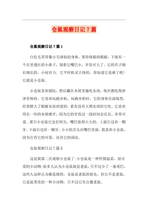 仓鼠观察日记7篇