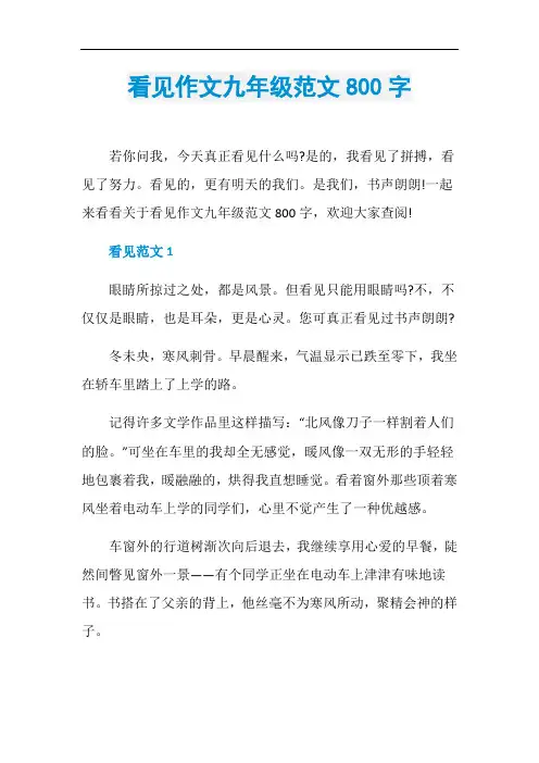 看见作文九年级范文800字