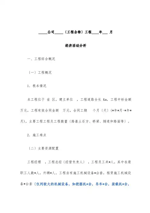 项目经济活动分析模板
