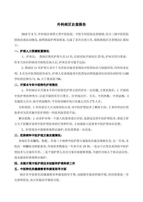 外科病区大型医院巡查自查报告