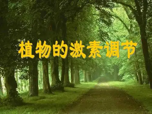 人教版教学课件高中生物必修3《植物的激素调节》教学课件