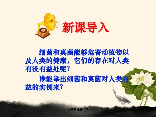 人类对细菌和真菌的利用(共46张1)ppt课件