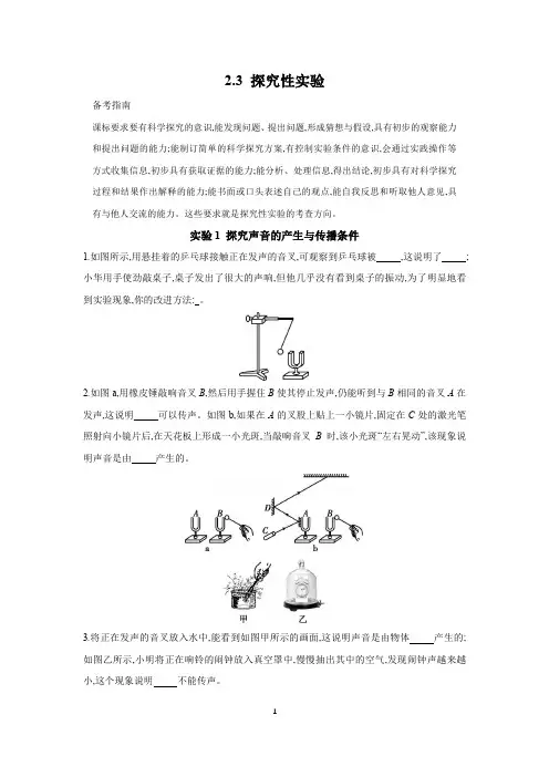 2024年中考物理一轮复习专题练习  2.3 探究性实验(含解析)