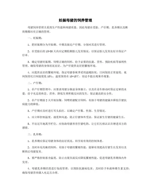 妊娠母猪的饲养管理